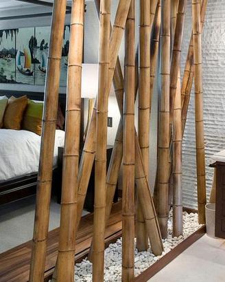 Canne Giganti di Bambu Bambu' Bamboo 