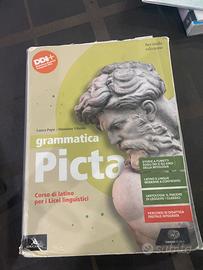 Grammatica picta