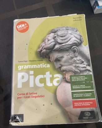 Grammatica picta