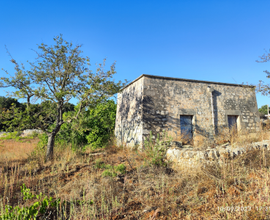 Lamia in pietra con terreno in valle d'Itria