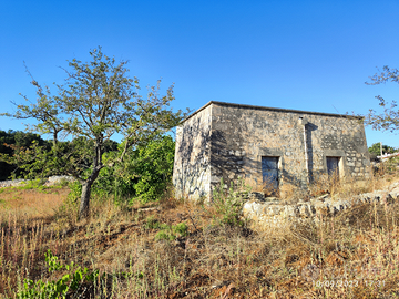 Lamia in pietra con terreno in valle d'Itria