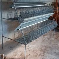 GABBIA 48  CONIGLI INGRASSO 3 PIANI