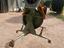 Immagine 28