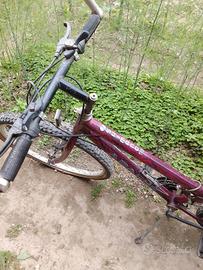 bicicletta
