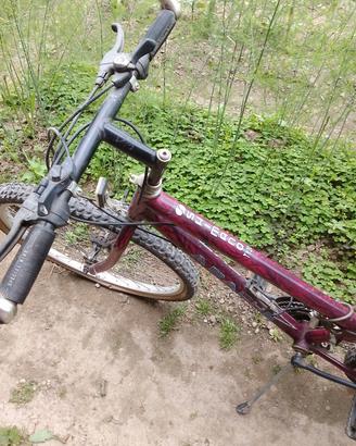bicicletta