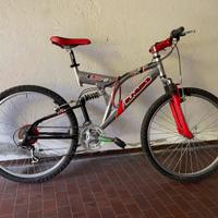 Mountain Bike biammortizzata