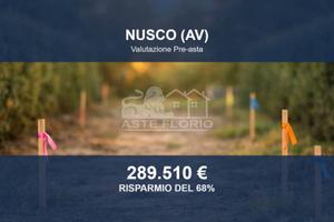 Immobile in asta di 29095 m² a Nusco