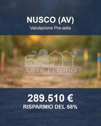 Immobile in asta di 29095 m² a Nusco
