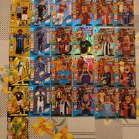 CARD ADRENALYN 2024-2025