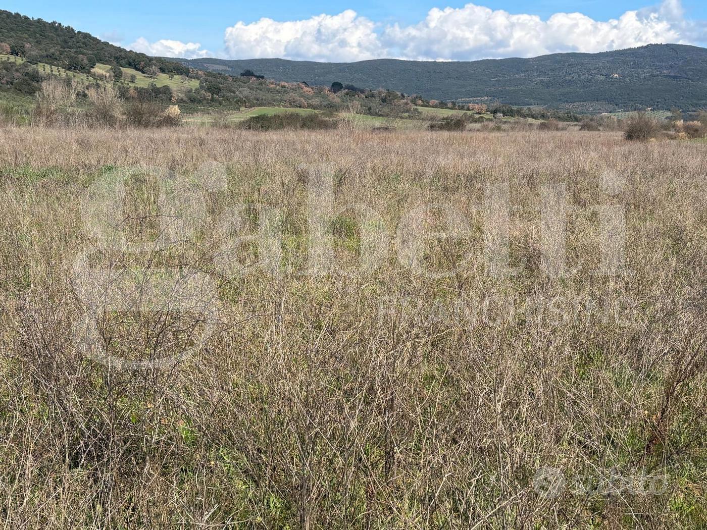 Plac, 62000 m²