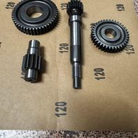 Rapporti per zip sp e fast raider