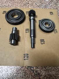 Rapporti per zip sp e fast raider