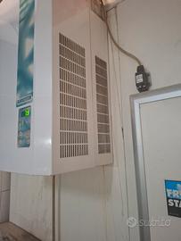 cella frigo 