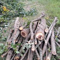 legna da ardere