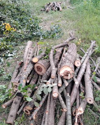 legna da ardere
