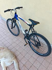 mtb bottecchia 