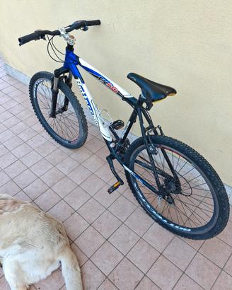 mtb bottecchia 