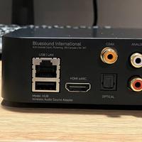 Bluesound Hub