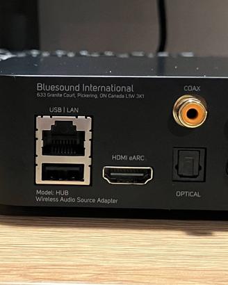 Bluesound Hub