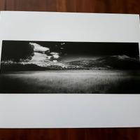 Fotografia bianco nero Infrarosso Maremma 24X30