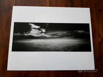 Fotografia bianco nero Infrarosso Maremma 24X30