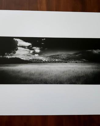 Fotografia bianco nero Infrarosso Maremma 24X30