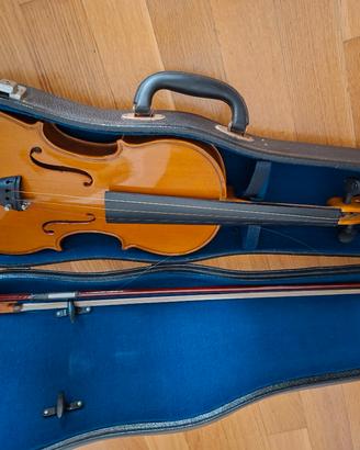violino locto 
