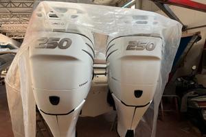 Coppia mercury verado 225 cv del 2006 leggi bene