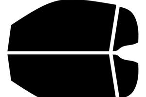 pellicola vetri smart fortwo 451