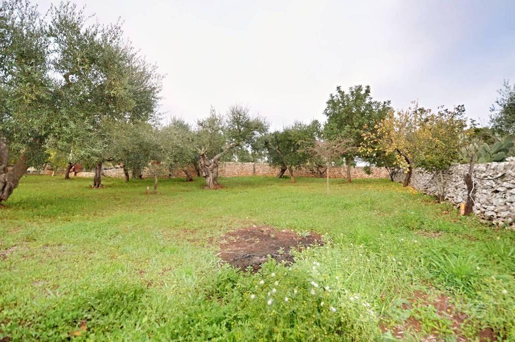Rustico / Casale di 60 m² con 2 locali a Putignano - Vista 4