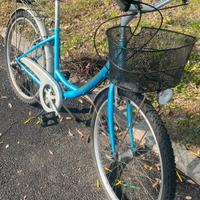 Bicicletta Ruote da 26