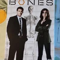DVD BONES STAGIONE 1