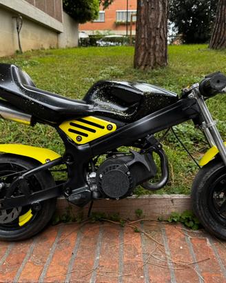 Minimoto 50cc pocket bike