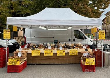 GAZEBO 4,5