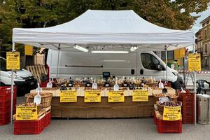 GAZEBO 4,5