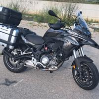 Benelli 502 C - 2019