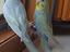 Immagine 3