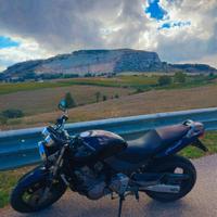 Honda hornet