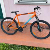bici da montagnia