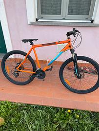 bici da montagnia