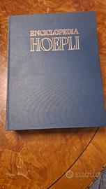 Enciclopedia Hoepli 1968, Storia d'Italia Einaudi