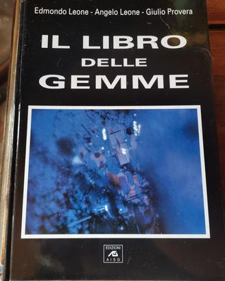 libro sulle pietre