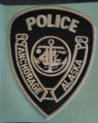 Raccolta distintivi in cotone Polizie America