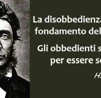 2 gabbie per animali