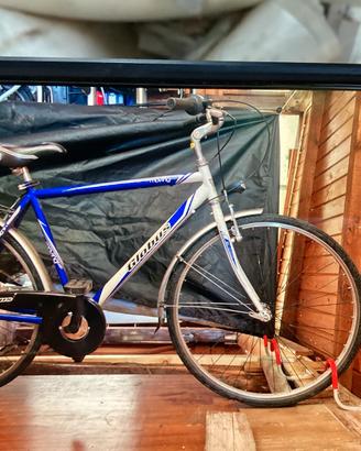 Biciclett Globis moving 28” usata pochissimo