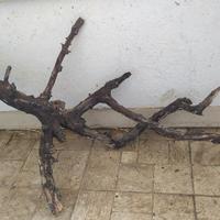 Legno acquario