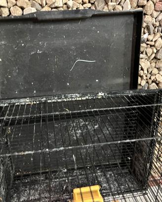 Gabbietta per uccellini