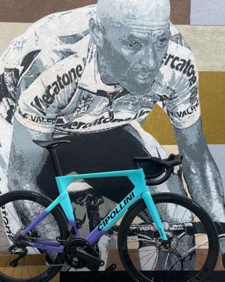 CIPOLLINI AD.ONE TG 58 XL