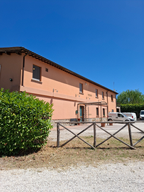 Si affitta casale colonico finemente ristrutturat