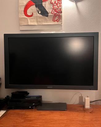 Monitor 40 p